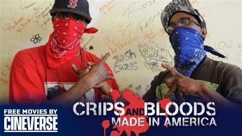 bloods and crips|bloods vs crips real life.